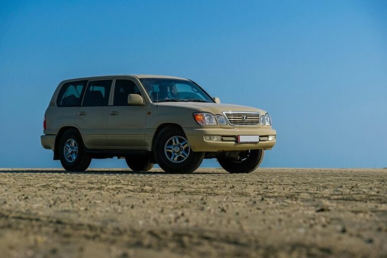 stable online platform 911418282