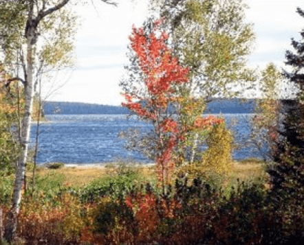 Cabin Lights, Northern Lakes, and Days Built Entirely Around Fishing